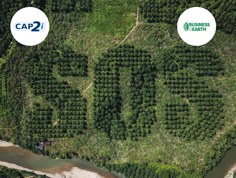 Cap2i supports a reforestation program in Indonesia 